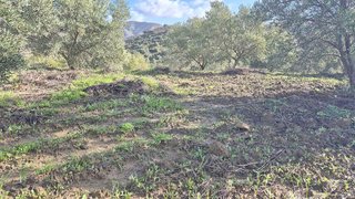 Terreno en venta en Pizarra