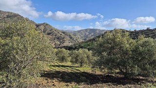 Terreno en venta en Pizarra