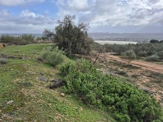 Terreno en venta en Arcos de la Frontera