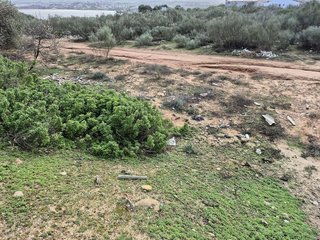 Terreno en venta en Arcos de la Frontera