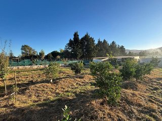 Terreno en venta en Barrios (Los)