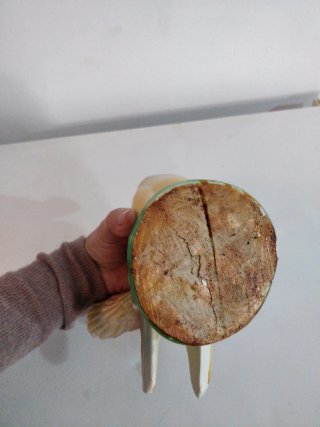 Paloma de escayola decorativa