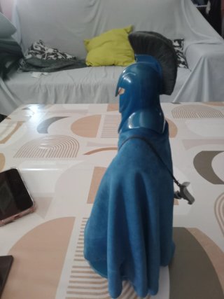 Figura Star Wars Guardia del Senado Hasbro 30cm