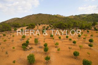 Terreno en venta en Manacor Centro en Manacor