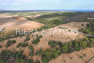 Terreno en venta en Manacor Centro en Manacor