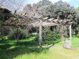 Solar en venta en Bollullos de la Mitación
