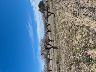 Terreno en venta en Bullas