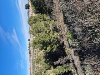 Terreno en venta en Bullas