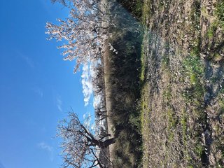 Terreno en venta en Bullas