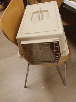 3 Trasportini per animali domestici
