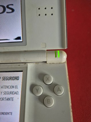 Nintendo DS Lite Nintendogs Edizione Speciale