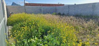 Terreno en Venta - La linea de la concepción
