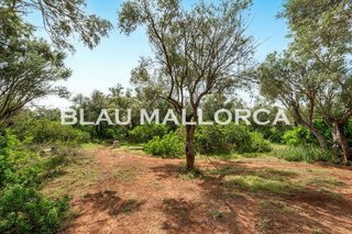 Terreno en venta en Felanitx