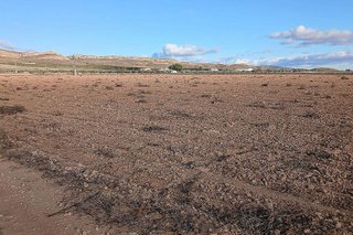 Terreno en venta en Yecla