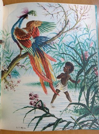 Libro infantil