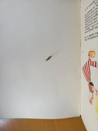 Libro infantil