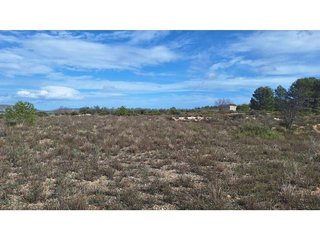 Terreno en venta en Olleria (l´)