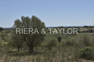 Terreno en venta en Manacor Centro en Manacor