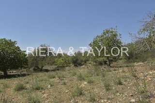 Terreno en venta en Manacor Centro en Manacor