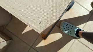 2 Tumbonas de Exterior