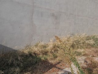 Terreno en venta en Vall d´Uixó (la)
