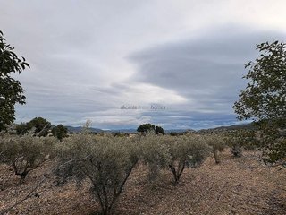 Terreno en venta en Onil