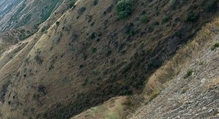 Terreno en venta en Álora