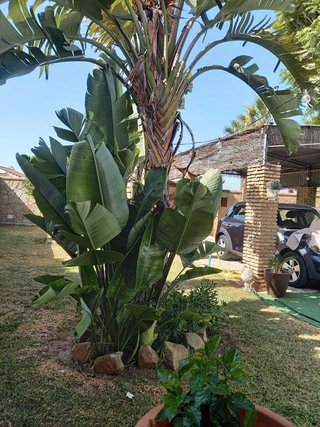 Chalet en venta en La Banda - Campo de Fútbol en Chiclana de la Frontera