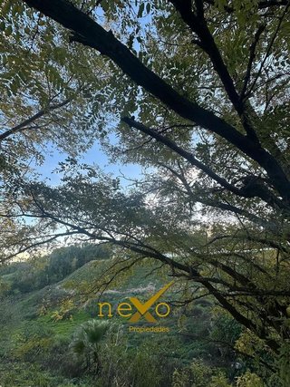 Nave industrial en venta en Carmona