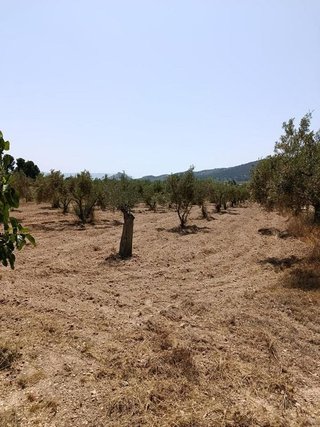 Terreno en venta en Onil