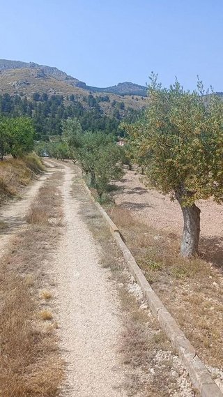 Terreno en venta en Onil