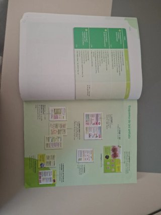 Biologia, 2 batxillerat, Projecte Construint mons