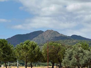 Solar en venta en Coín