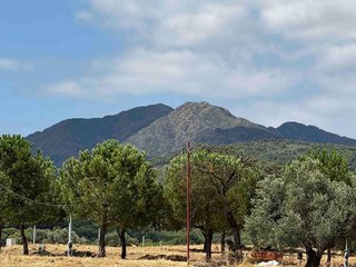 Solar en venta en Coín