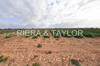 Terreno en venta en Manacor Centro en Manacor
