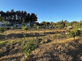 Terreno en venta en Barrios (Los)