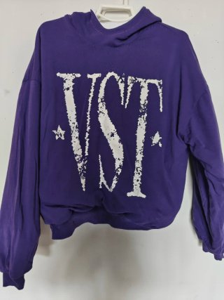 Vesta Super Hoddie purple - S
