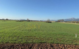 Terreno en venta en Pobla (Sa)