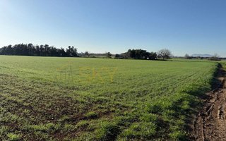 Terreno en venta en Pobla (Sa)