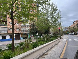 Local comercial en alquiler en Angustias - Chana - Encina en Granada