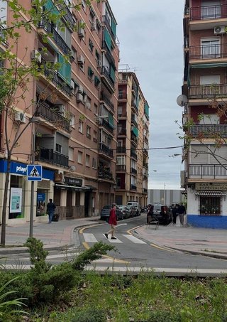 Local comercial en alquiler en Angustias - Chana - Encina en Granada