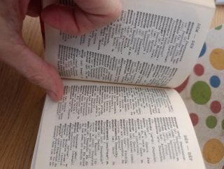 Mini diccionario Larousse de español/francés