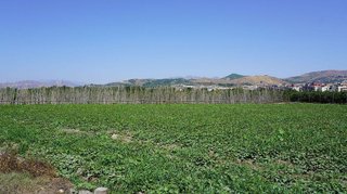 Terreno en venta en Motril pueblo en Motril