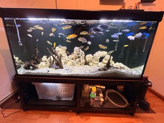 Acuario 450L Negro/Multicolor