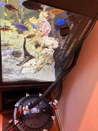 Acuario 450L Negro/Multicolor