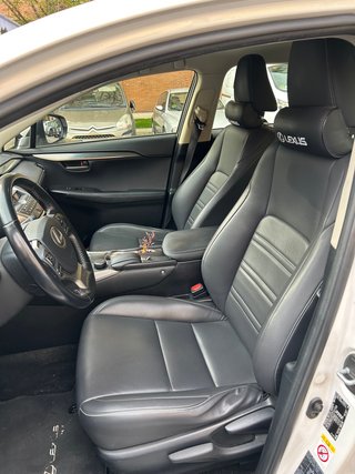 Lexus NX 300h