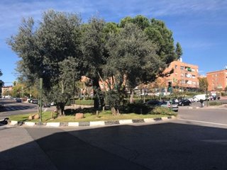 Local comercial en alquiler en Centro en Alcobendas