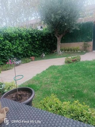Casa adosada en venta en Montecanal en Zaragoza