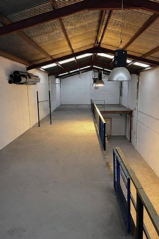 Nave industrial en venta en Carrús Est - Camí dels Magros en Elche