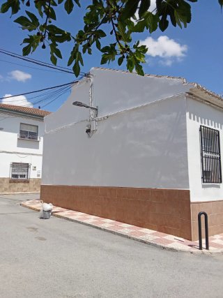 "PINTOR ECONÓMICO"